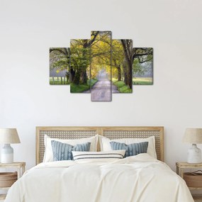 Tablou - Smoky Mountains, Gatlinburg, SUA (150x105 cm)
