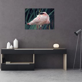 Tablou pe sticlă - Pasărea Flamengo (70x50 cm)