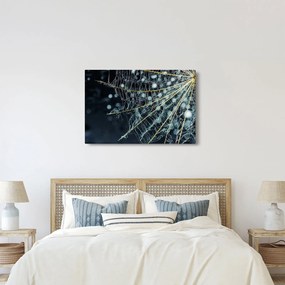 Tablou - Floare cu pânză de pâianjen (90x60 cm)