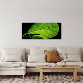 Tablou - frunză verde (120x50 cm)