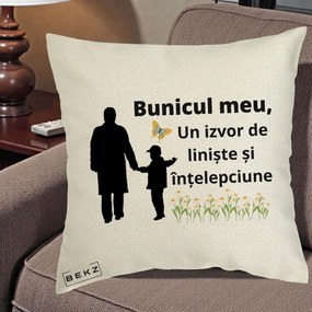 Cadou pentru Bunic - Perna Personalizata Bunicul Meu Izvor de Liniste cu Fluture si Baietel, 40x40 cm, Ecru, Husa Detasabila, Perna Inclusa, BEKZ®