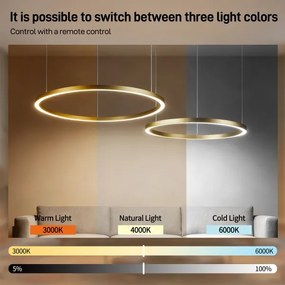 Brilagi - Lustră LED dimabilă suspendată pe cablu PORTOFINO LED/98W/230V, finisaj auriu +DO