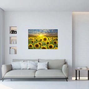 Tablou - Floarea-soarelui la apus de soare (90x60 cm)