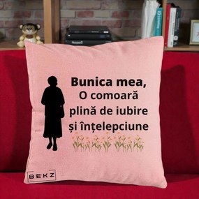 Cadou pentru Bunica - Perna Personalizata Bunica Mea Comoara Iubire Intelepciune Silueta cu Nepoata, 40x40 cm, Roz, Husa Detasabila, Perna Inclusa, BEKZ®