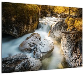 Tablou - Râul din pădure (70x50 cm), în 40 de alte dimensiuni noi