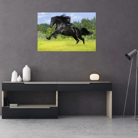 Tablou - Cal cu o coamă curgătoare (90x60 cm)