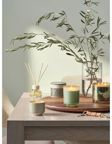 Difuzor de parfum Hinoki Sage – ILLUME x Bloomingville