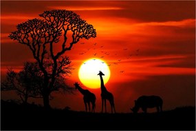 Tablou - Siluete animalelor la apus de soare (90x60 cm)