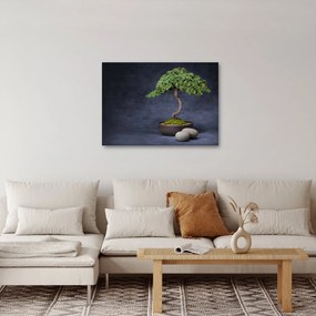 Tablou - Bonsai (70x50 cm)