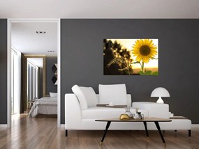 Tablou cu floarea soarelui (90x60 cm)