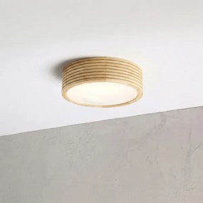 Plafonieră pentru baie NATURAL MODERN 2xE27/15W/230V, Ø 27,5 cm, pin