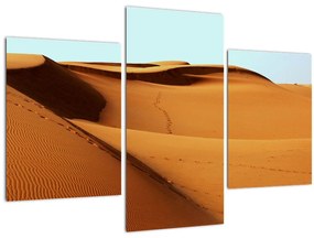 Tablou - Pași în deșert (90x60 cm)