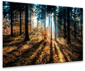 Tablou Styler Glasspik Autumn Sunset, 70 x 100 cm
