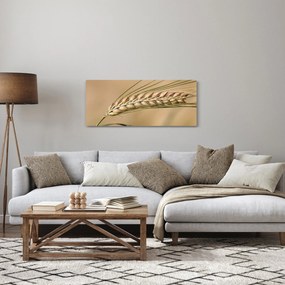 Tablou - Grâu (120x50 cm)