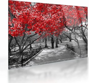 Tablou pe sticlă - Copaci roșii, Central Park, New York (70x50 cm)