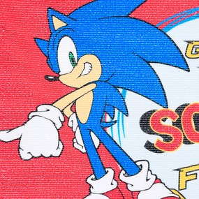Sonic Ariciul Gotta Go prosop de mână, prosop de față, prosop 40x30 cm