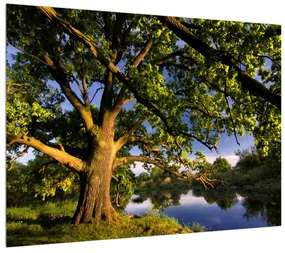 Tablou pe pânză K010369K7050 (70x50 cm), în 40 de alte dimensiuni noi
