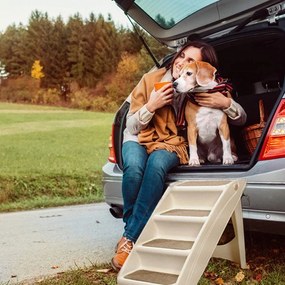 Scara pentru animale de companie