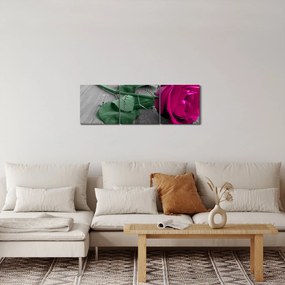 Tablou - Trandafir roz cu tulpina verde (cu ceas) (90x30 cm)