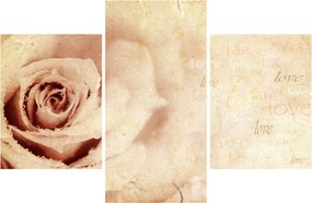 Tablou - floare de trandafir pentru îndrăgostiți (90x60 cm)