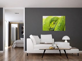 Tablou cu șarpe (90x60 cm)