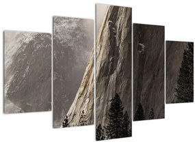 Tablou din valea Yosemite parcul național, SUA (150x105 cm)