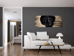 Tablou cu cățeluș negru (120x50 cm)