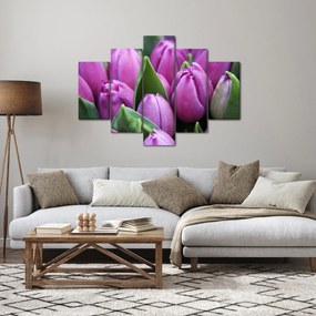 Tablou - florile lalelelor (150x105 cm)