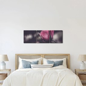 Tablou - Detaliu florii de trandafir (cu ceas) (90x30 cm)