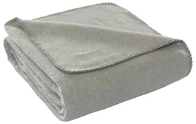Pătură gri din polar, fleece 130x170 cm Brighton – Mijolnir