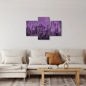 Tablou - Lavanda (90x60 cm)