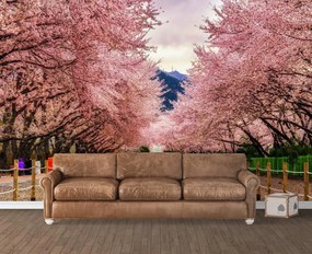 Fototapet, Cai ferate langa copaci sakura Art.01372