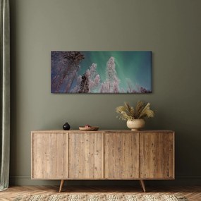 Tablou cu aurora borealis deasupra pomilor înghețați (120x50 cm)