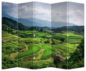 Paravan - Câmp de orez (210x170 cm)