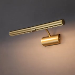 Brilagi - Lampă pentru tablouri DANAE 2xE14/40W/230V, auriu