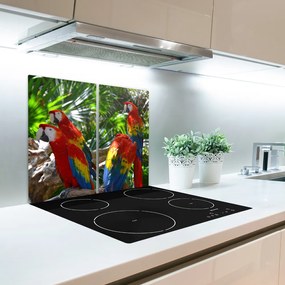 Tocator din sticla macaws papagali