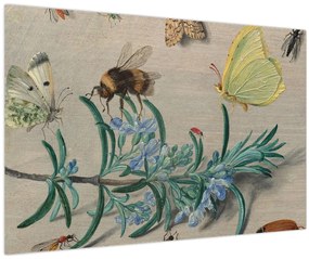 Tablou - Jan van Kessel the Elder, Insects and a Sprig of Rosemary, reproducere (90x60 cm)