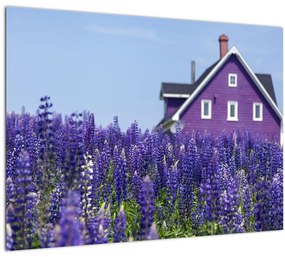 Tablou pe sticlă cu câmp de lavanda (70x50 cm)