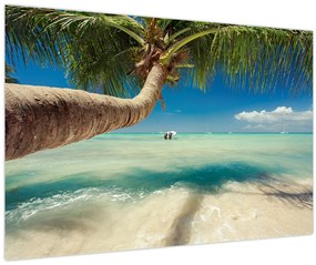 Tablou - Mare curată cu palmier (90x60 cm)