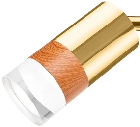 Spot de perete AURORA 1xGU10/10W/230V