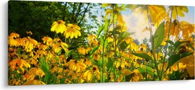 Tablou - Flori galbene (120x50 cm)
