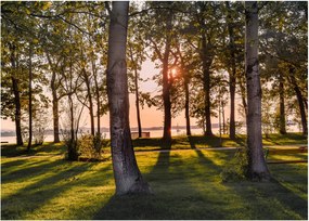 Tablou pe sticlă cu pomi lângă lac (70x50 cm)