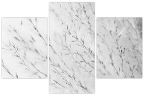 Tablou - Iarbă de pampas N⁰2 (90x60 cm)