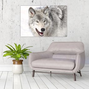 Tablou - Lupul în natură (90x60 cm)
