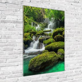 Imagine de sticlă Cascada din junglă