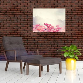 Tablou - Maci (70x50 cm)