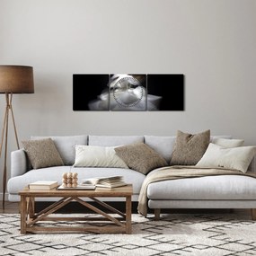 Tablou cu floare de lotus (cu ceas) (90x30 cm)