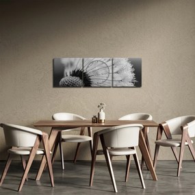 Tablou cu păpădie - albnegru (cu ceas) (90x30 cm)