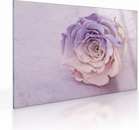 Tablou pe sticlă detaliu florii de trandafir (70x50 cm)