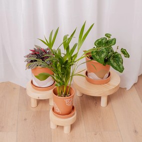 Set 3 suporturi pentru plante, lemn masiv de pin
